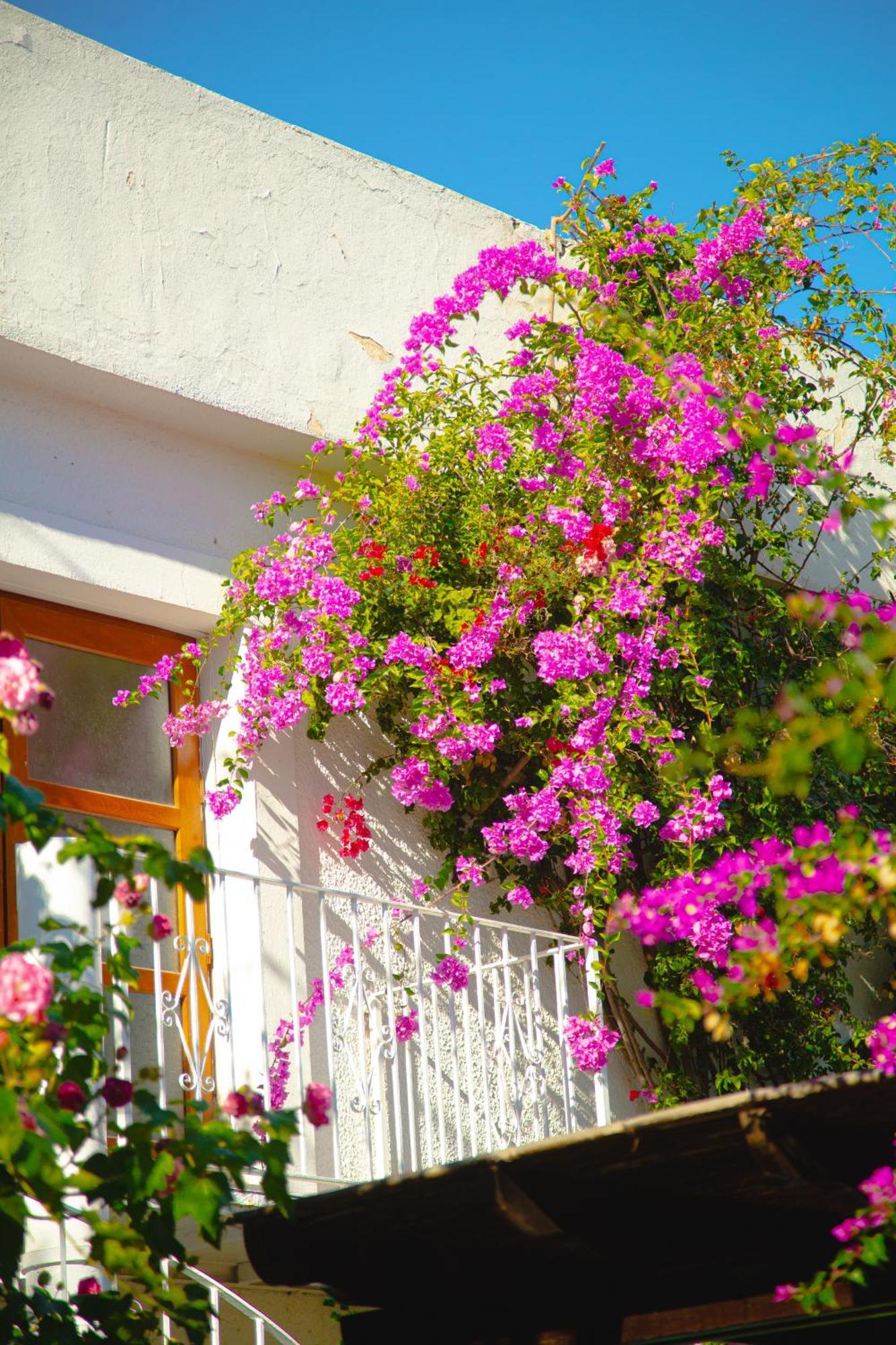 Hotel Karia Princess Bodrum Esterno foto